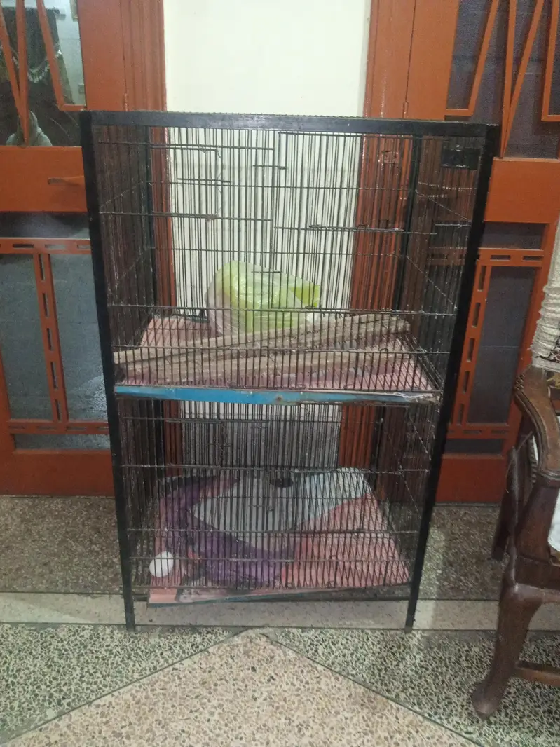 2 portion cage for sale