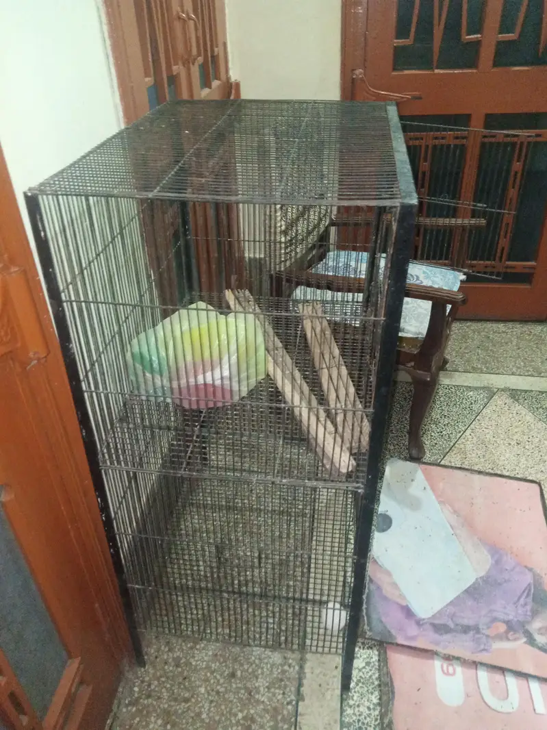 2 portion cage for sale — photo 6