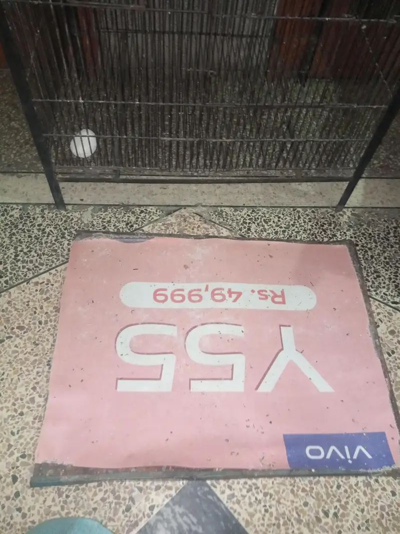 2 portion cage for sale — photo 9