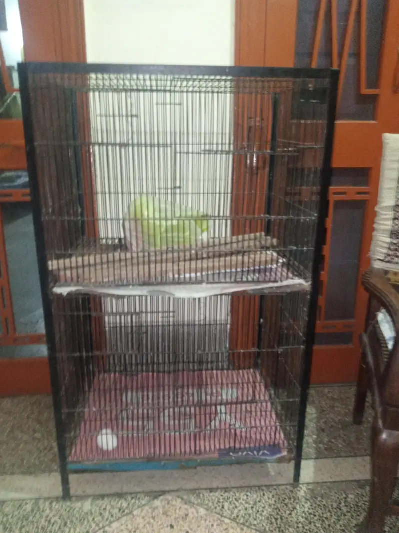 2 portion cage for sale — photo 10