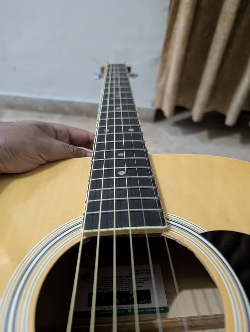 professional guitar 1
