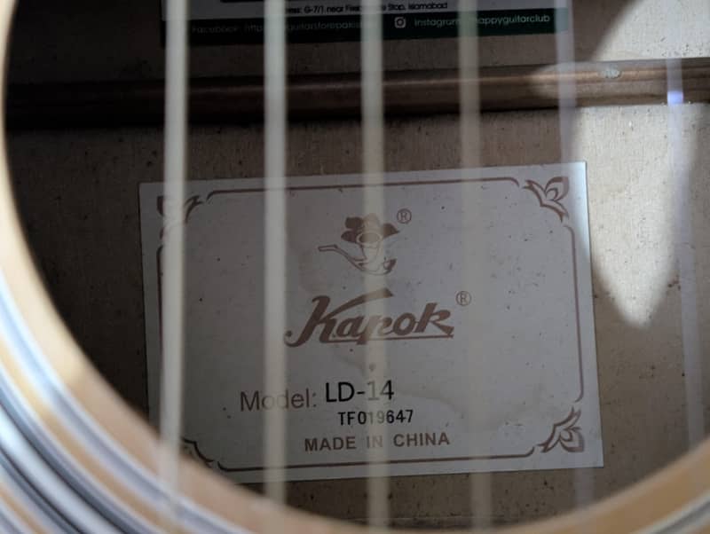 professional guitar 2