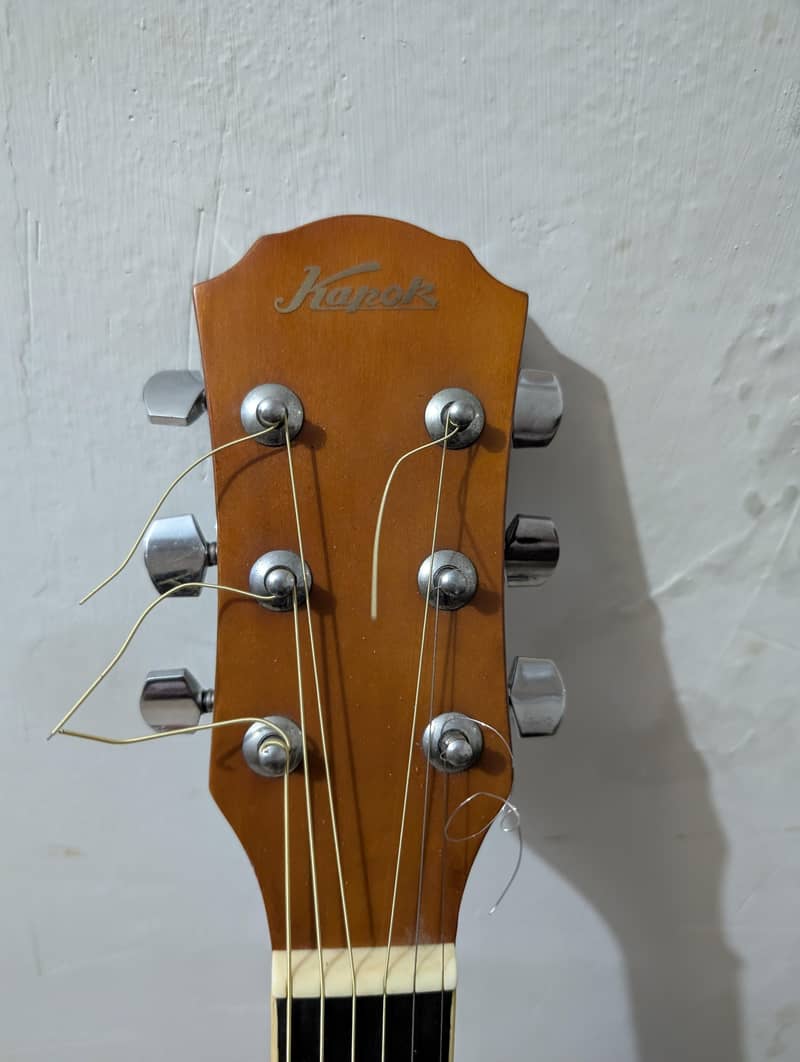 professional guitar 5