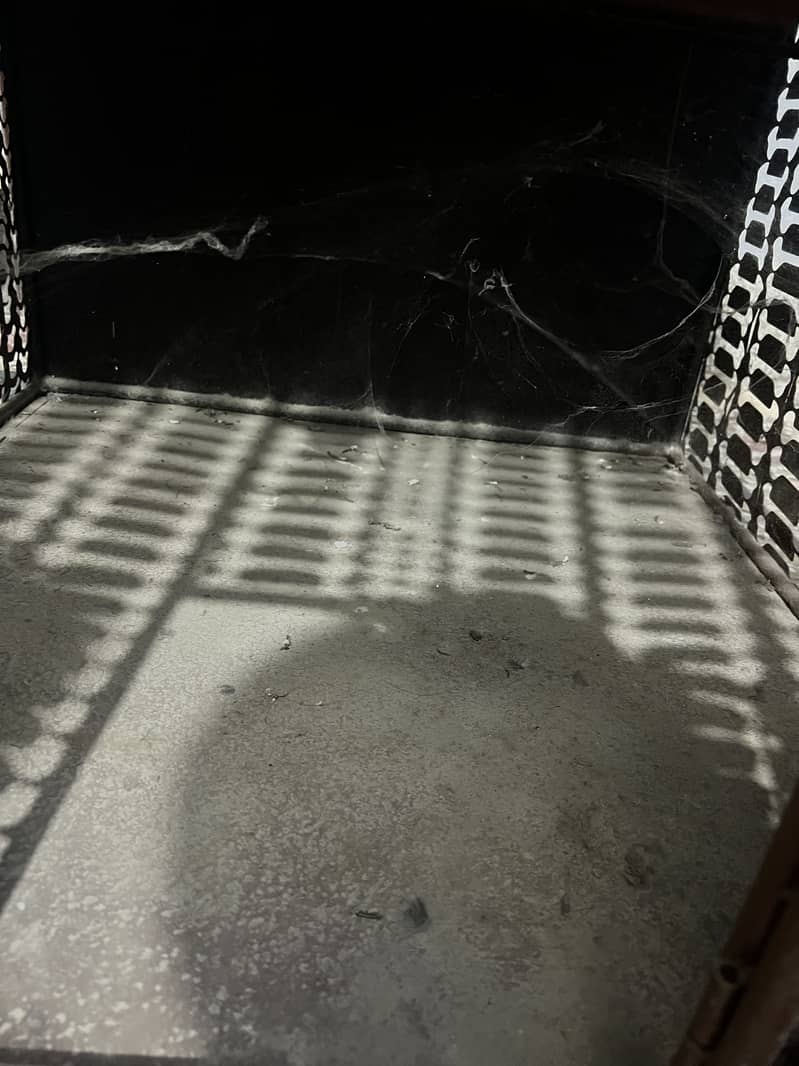 Metallic cage ( Pingra ) 2
