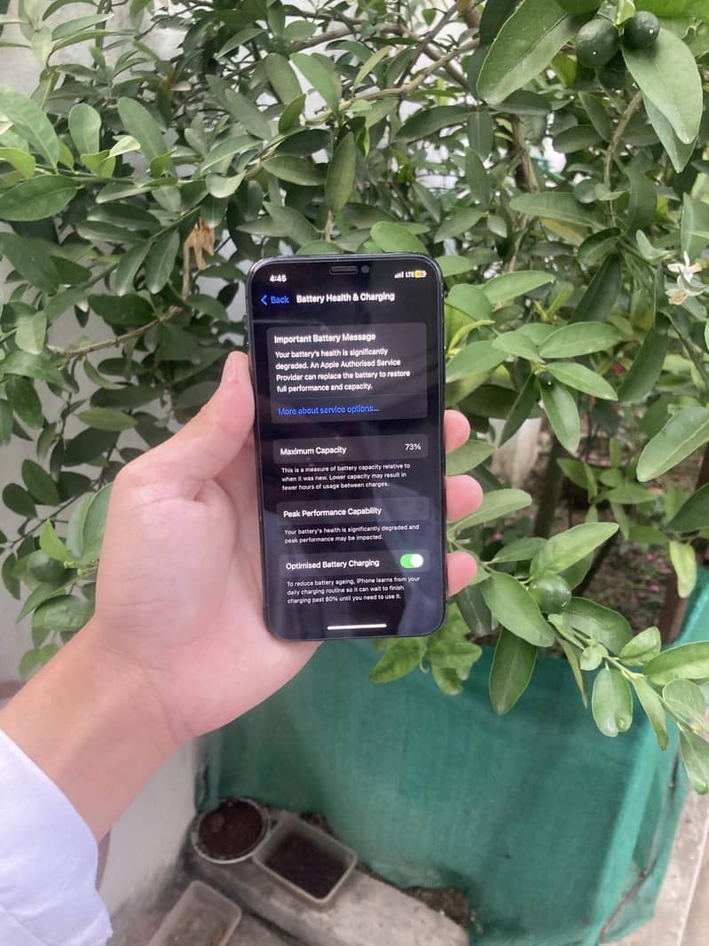 Apple iPhone X 1