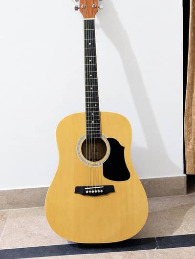 professional guitar