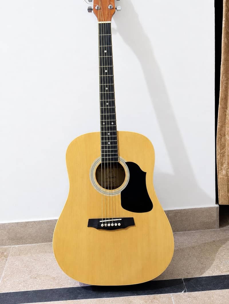 professional guitar 0