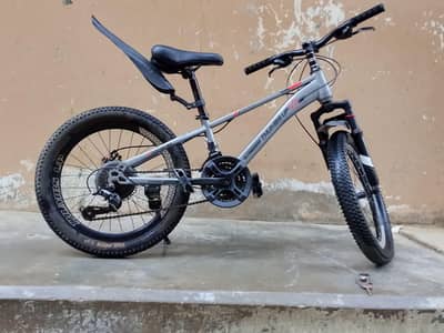 20" cycle for 9 to 15 years childrens