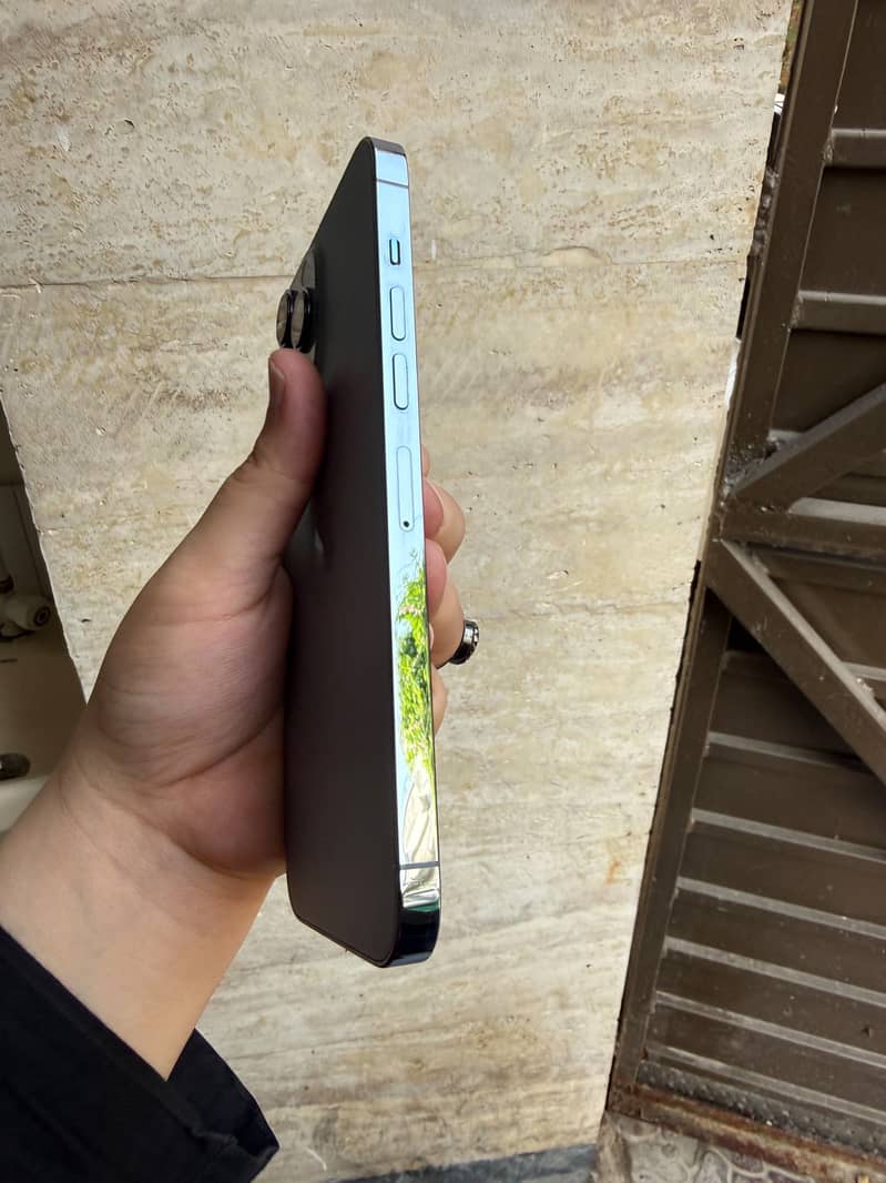 Apple iPhone 13 Pro Max 1