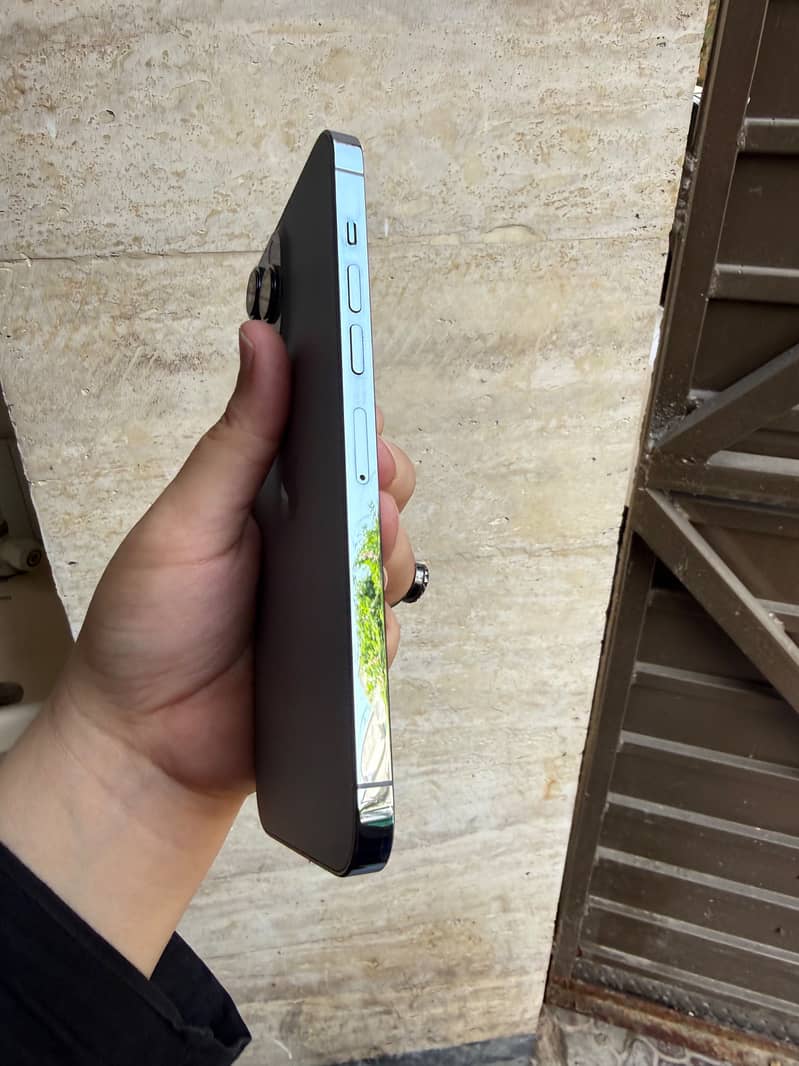 Apple iPhone 13 Pro Max 2