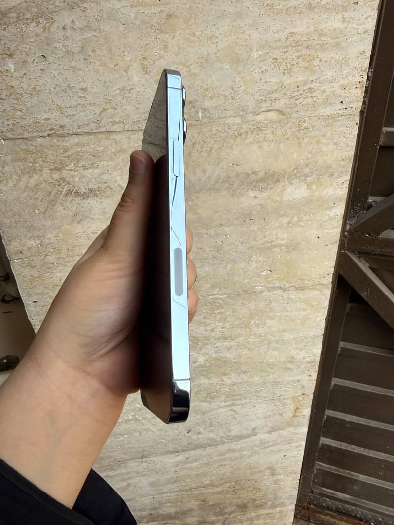 Apple iPhone 13 Pro Max 3