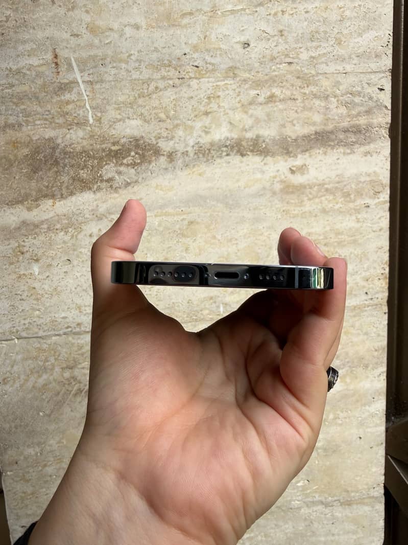 Apple iPhone 13 Pro Max 6