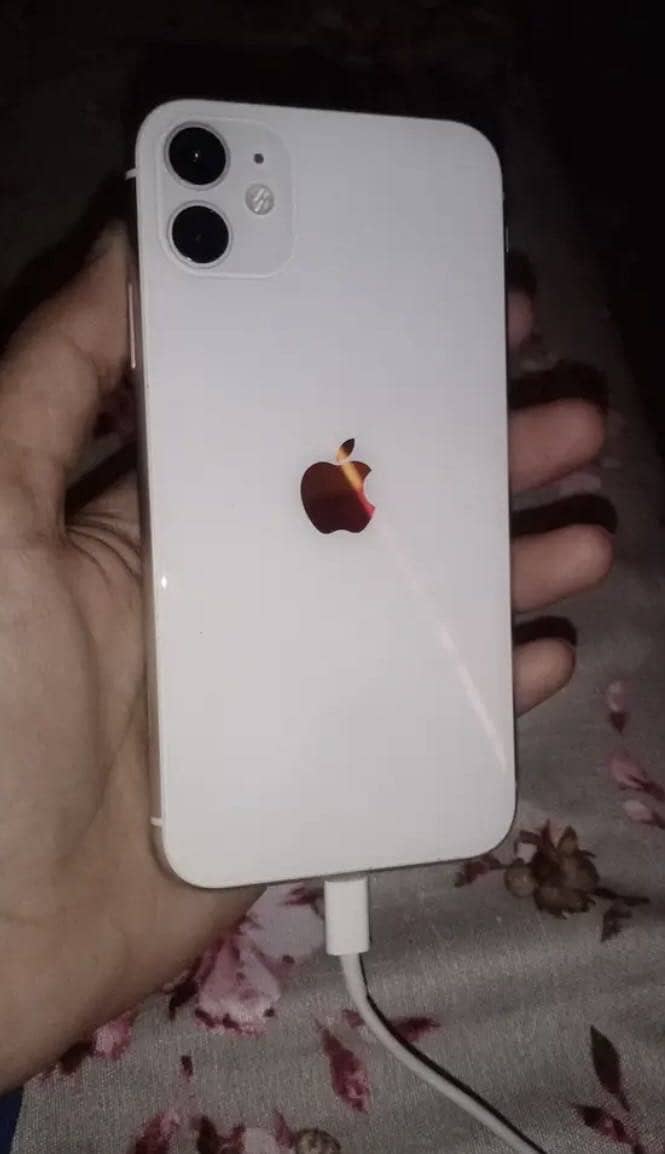 Apple iPhone 11 0