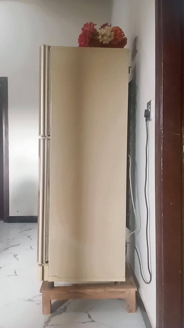 Pel Refrigerator 1