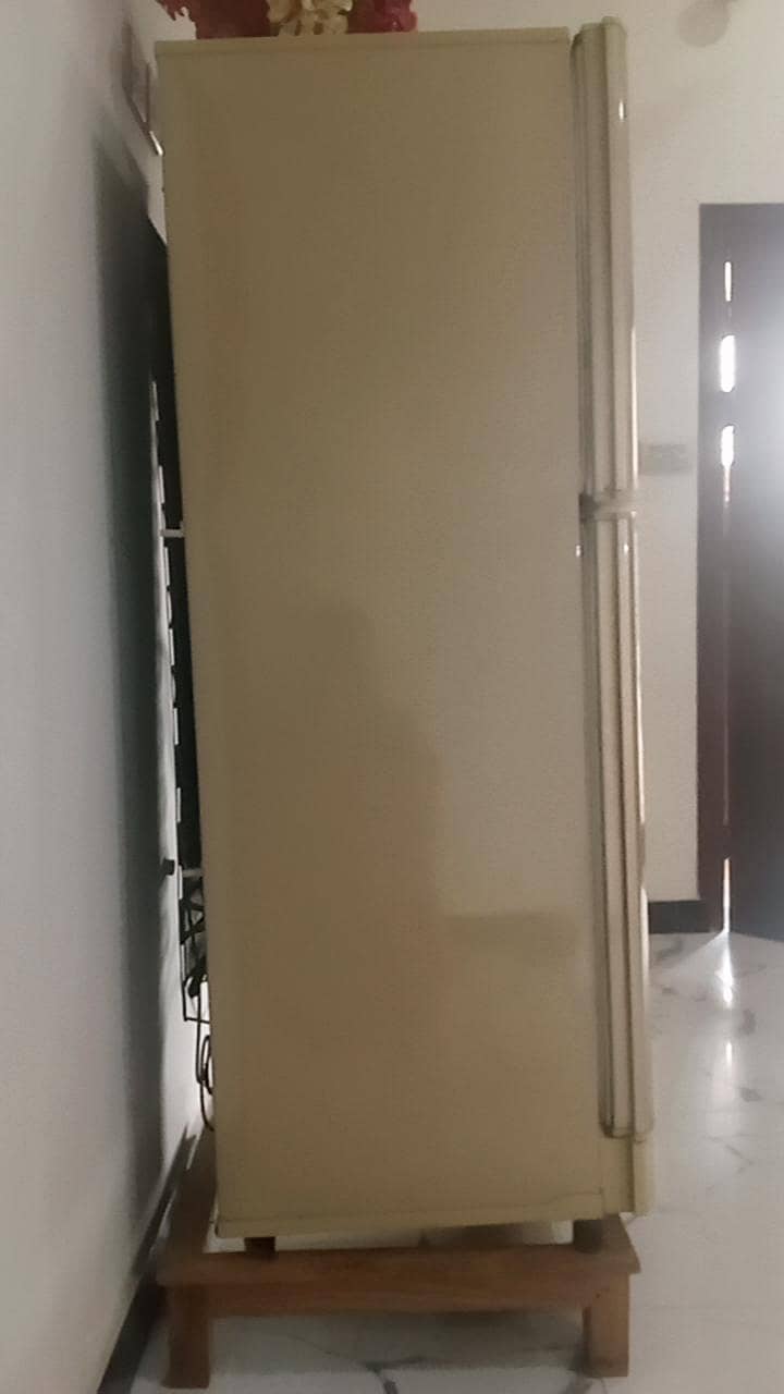 Pel Refrigerator 2