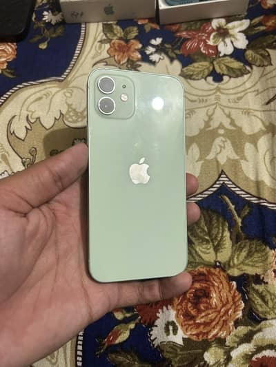 iPhone 12