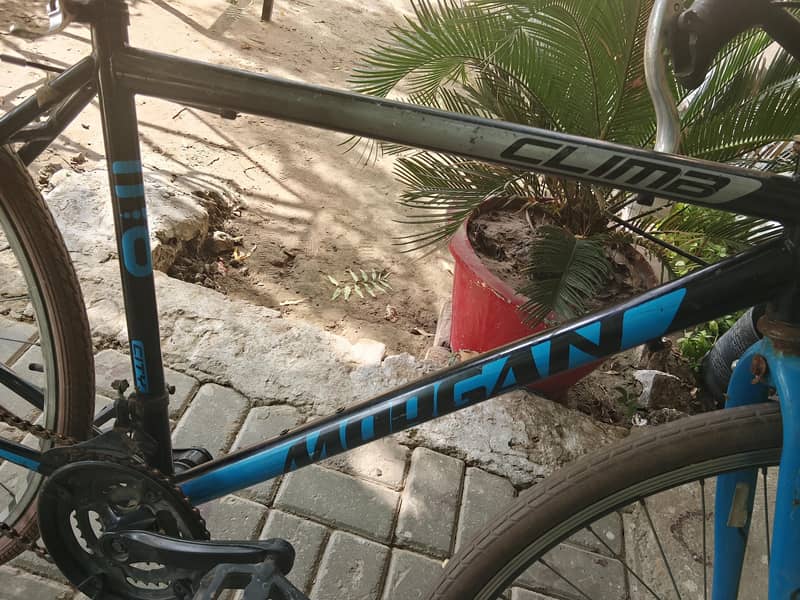 City cycle 1