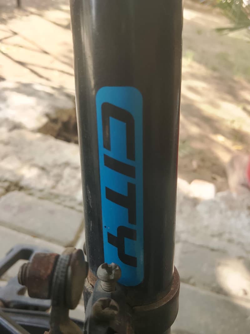 City cycle 2