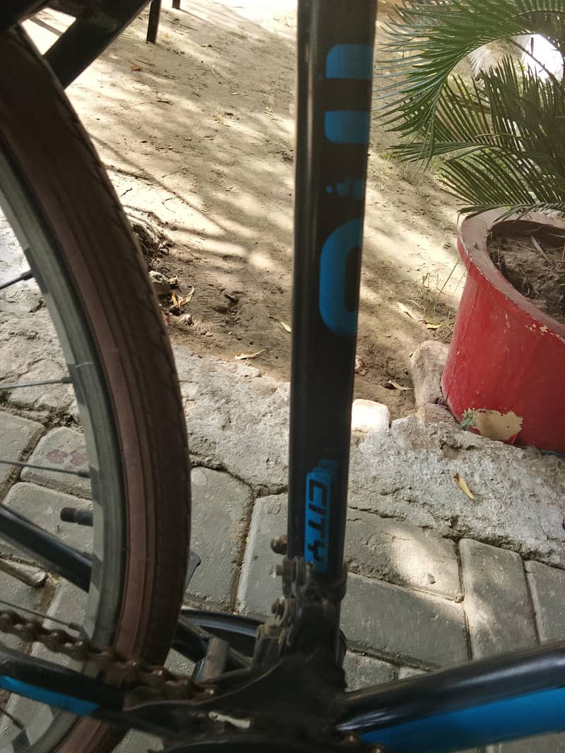 City cycle 3
