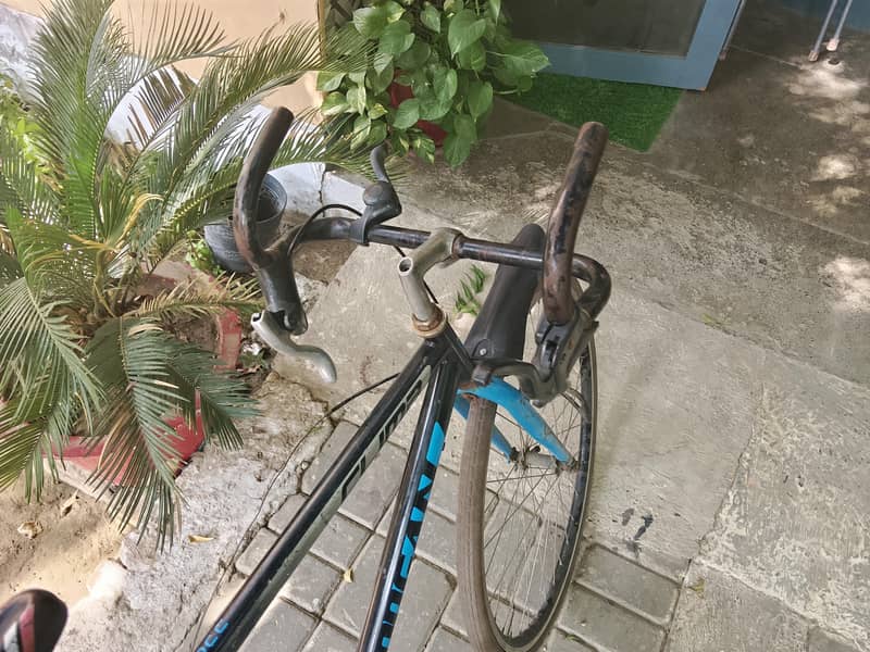 City cycle 4