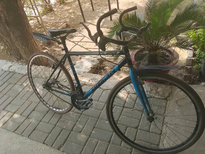 City cycle 6