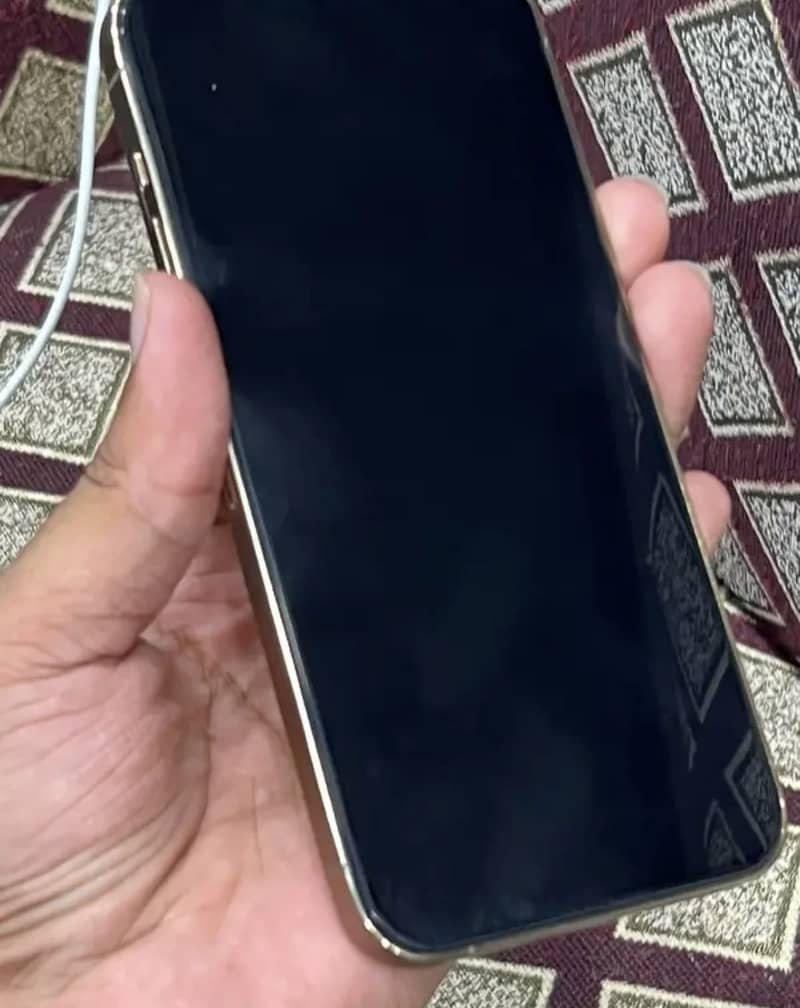 Apple iPhone 13 Pro Max 2