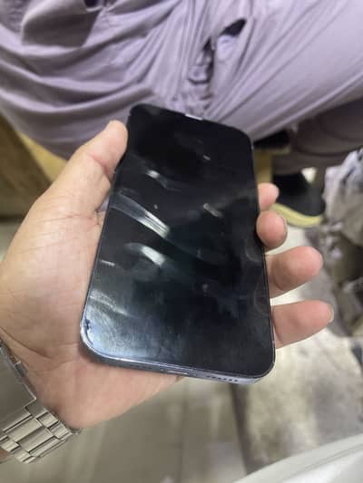 Apple iPhone 13 Pro Max