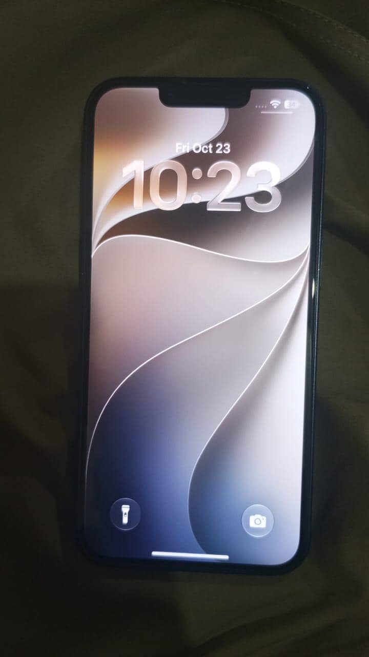 Apple iPhone 13 0