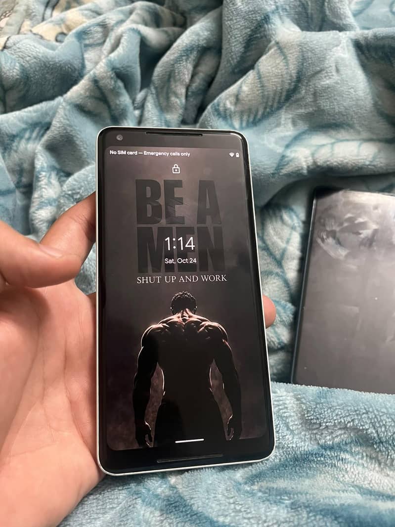 Google Pixel 2 XL 0
