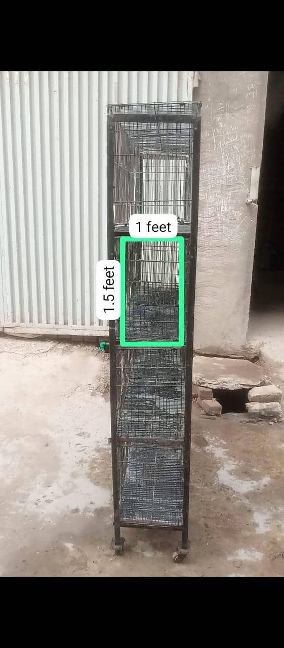 Birds cage (read ad) 1