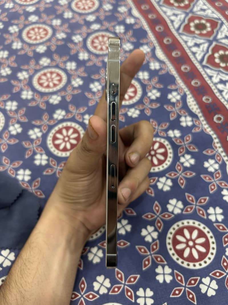 Apple iPhone 12 Pro Max 1