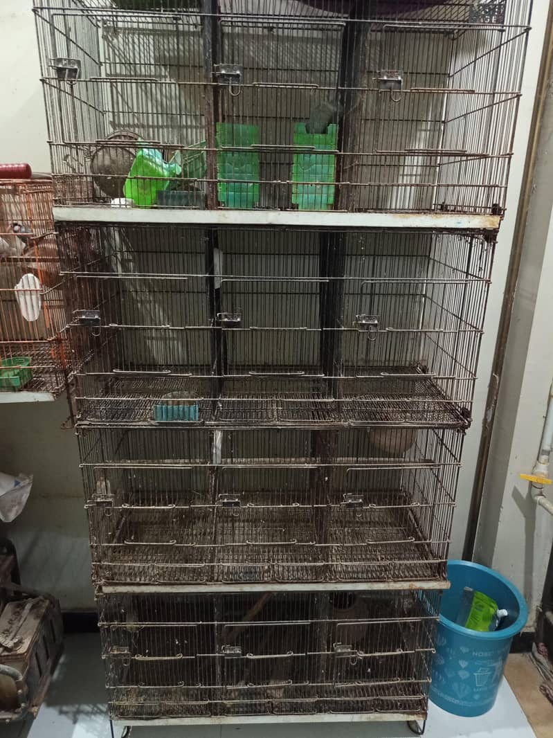Master cage 12 portion 0