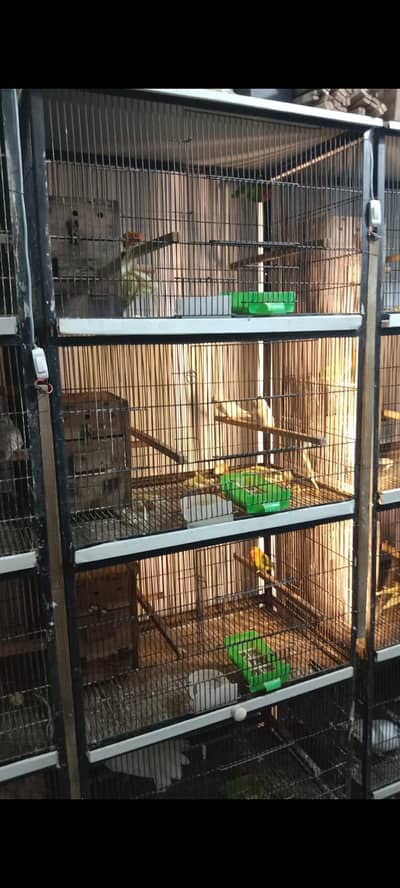 solid iron cages available for new shelter