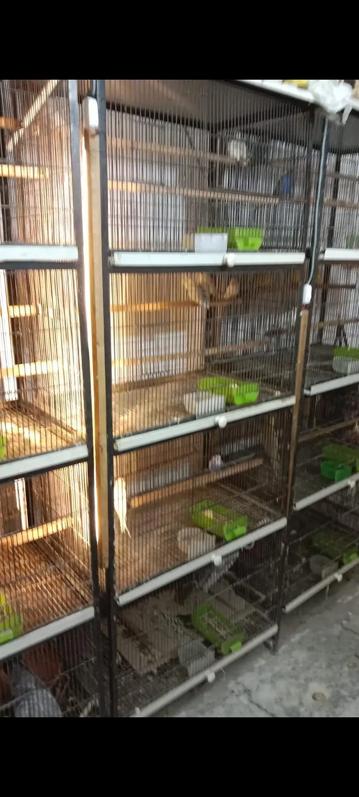 solid iron cages available for new shelter — photo 2