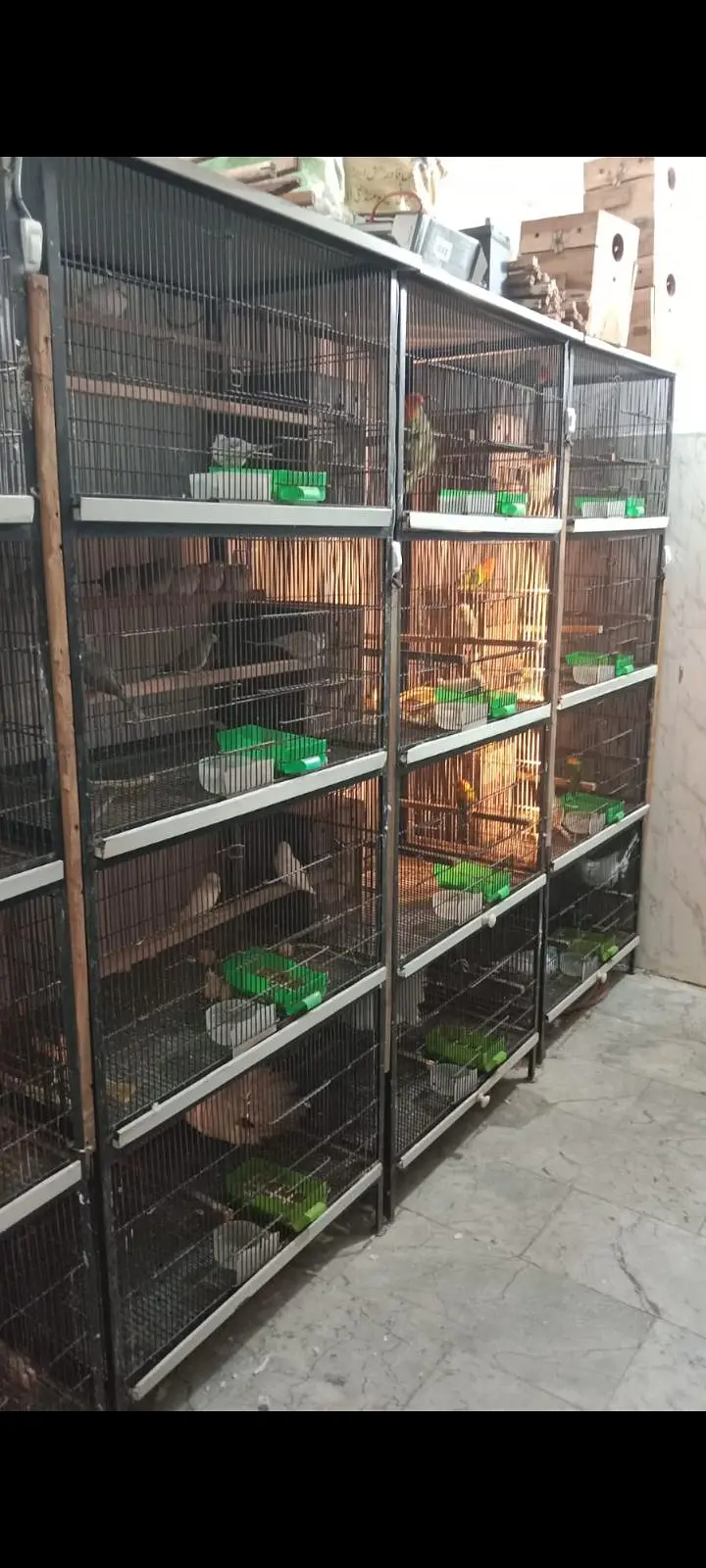 solid iron cages available for new shelter — photo 3