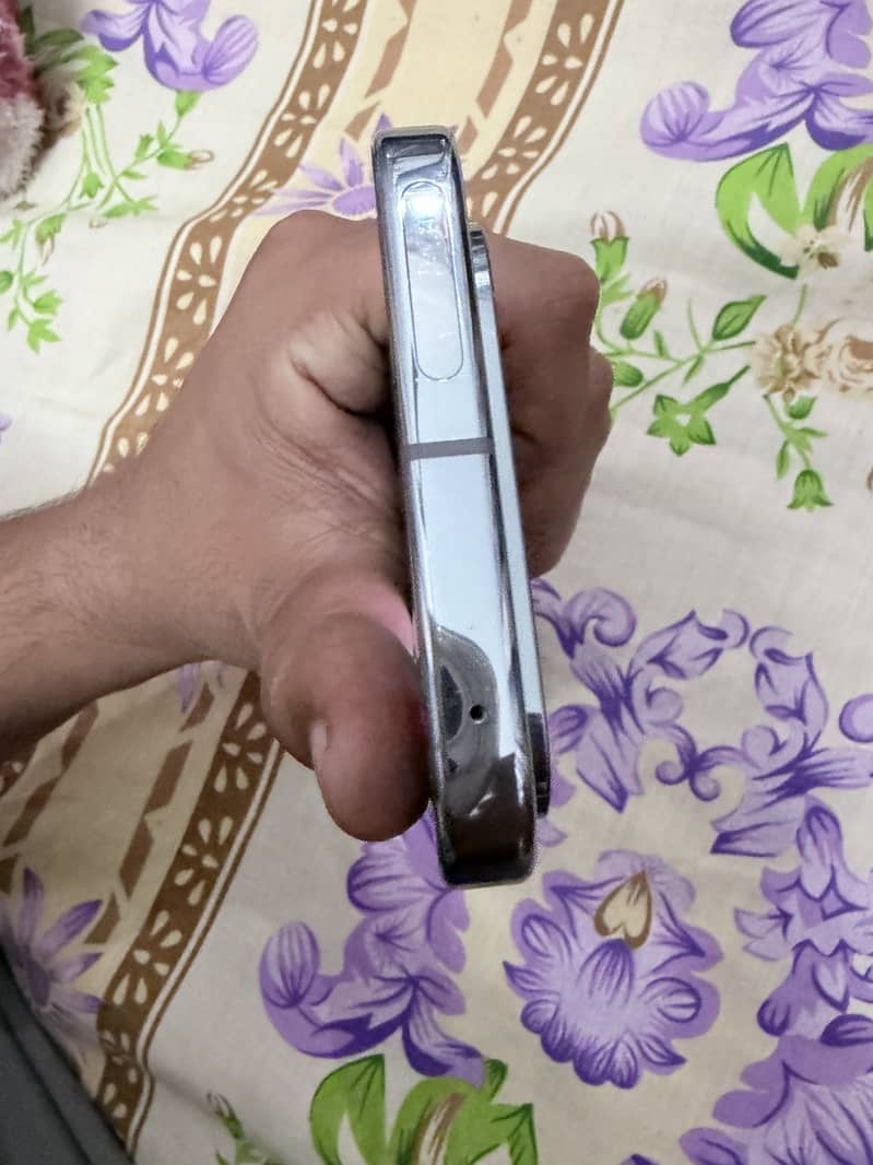 Google Pixel 9 Pro XL 1
