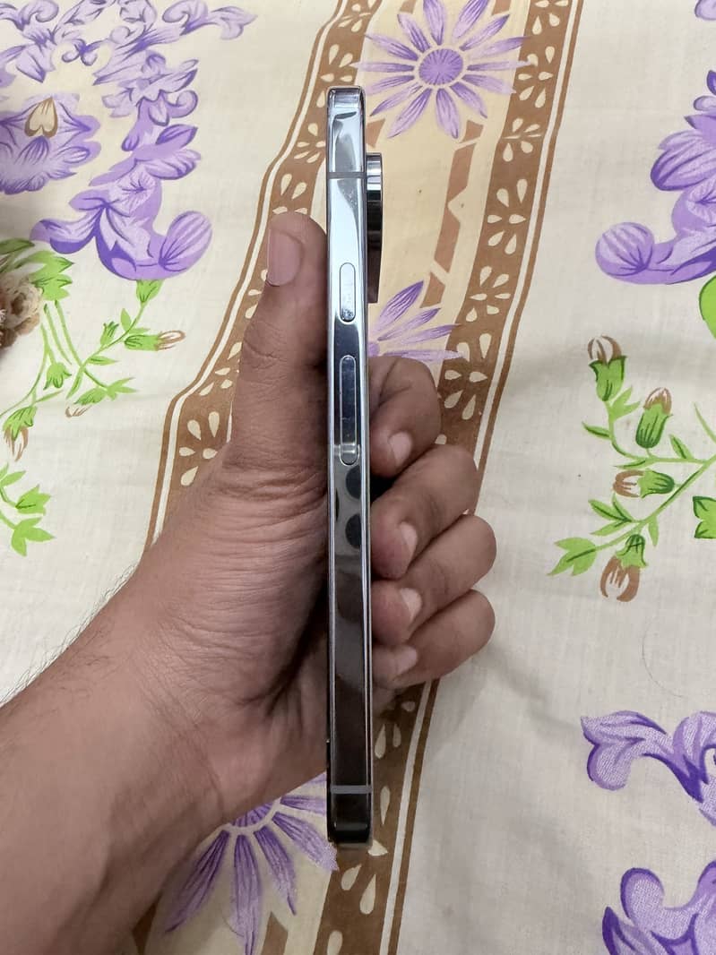 Google Pixel 9 Pro XL 4