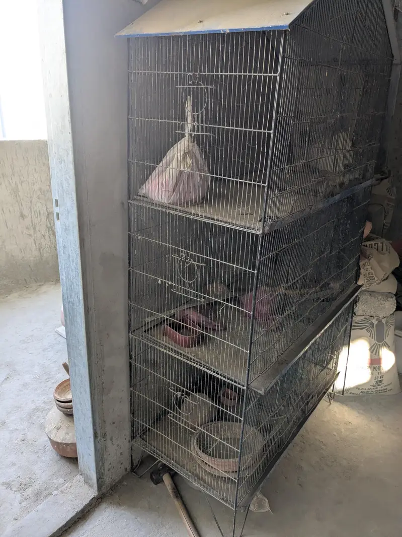 bird cage 3 portion for sale — photo 2