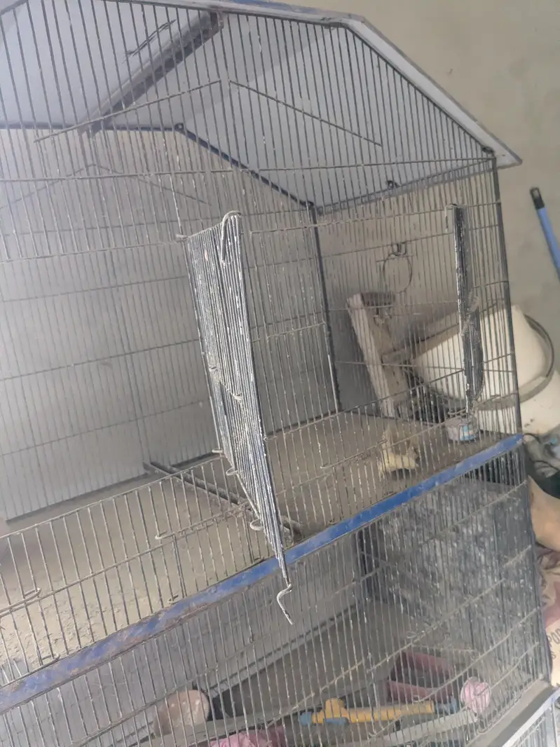 bird cage 3 portion for sale — photo 3
