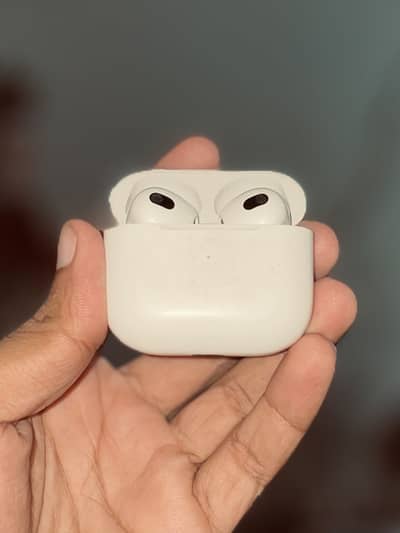 Apple birds