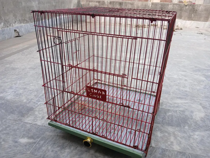 budgies breeder pair + extra male + cage available 0/3/2/1/4/9/4/6/844 — photo 5