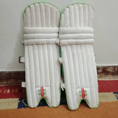 cricket kit .