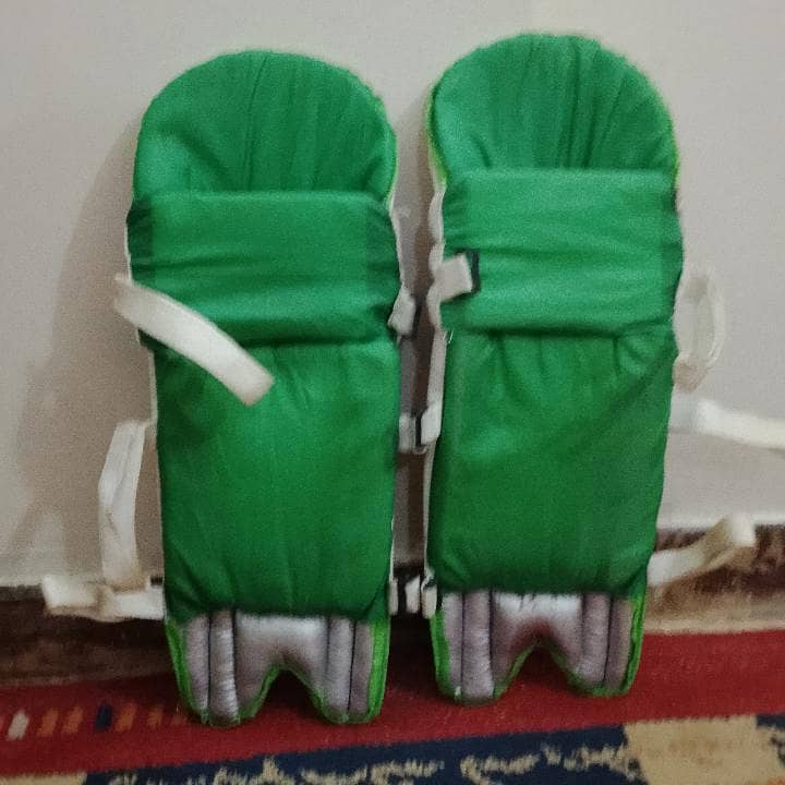 cricket kit . 2