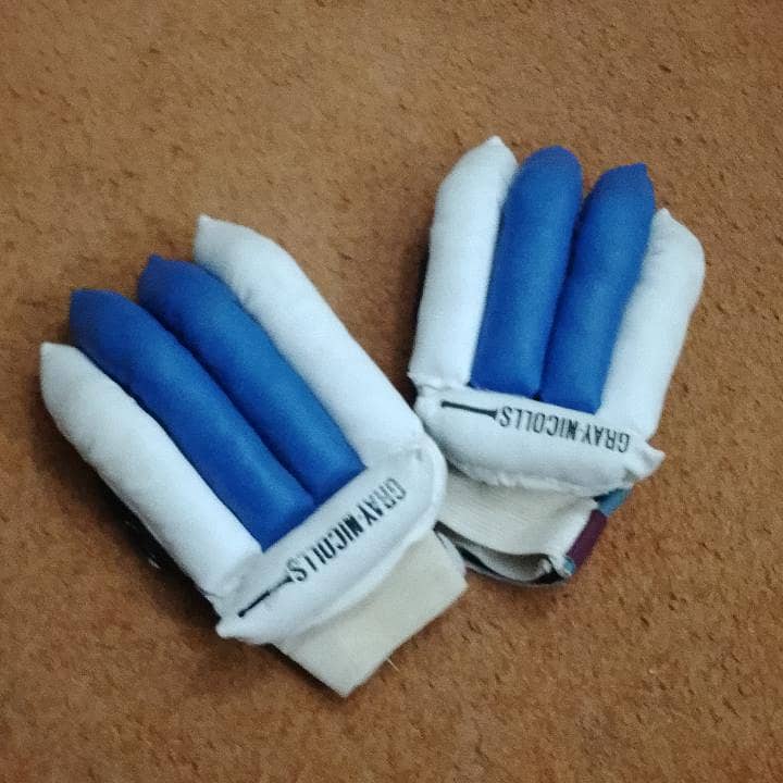 cricket kit . 5