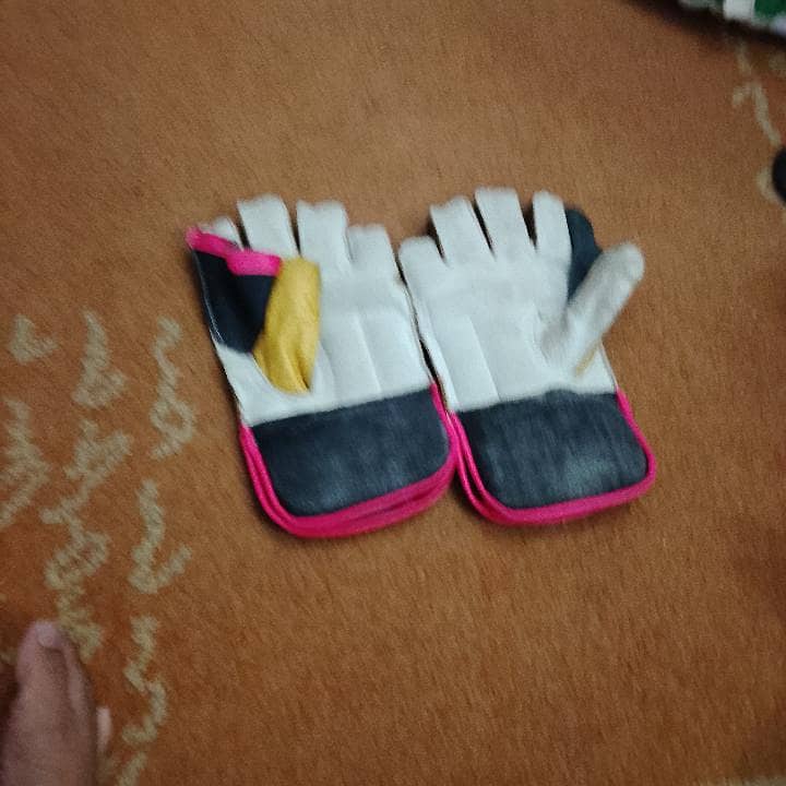 cricket kit . 7