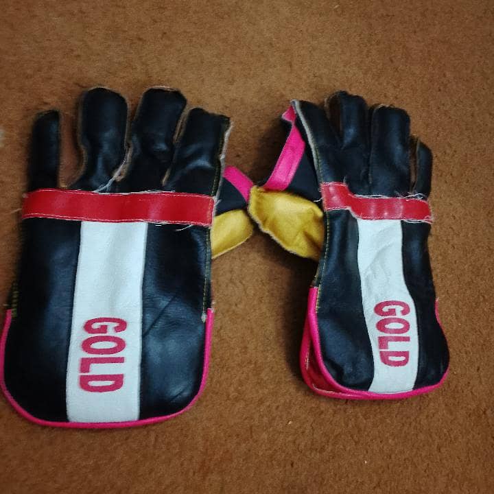 cricket kit . 8