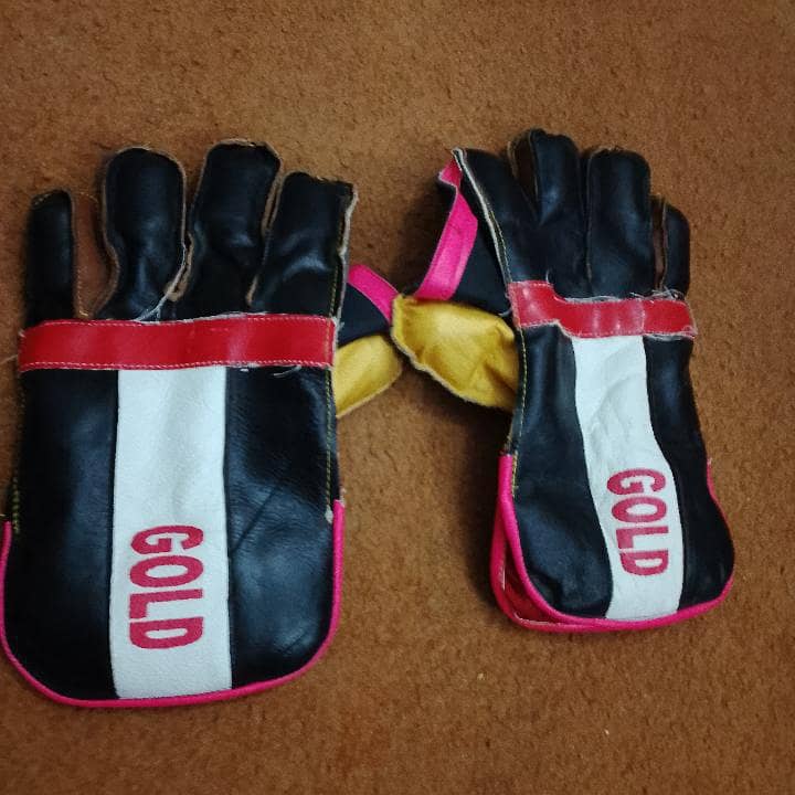cricket kit . 9