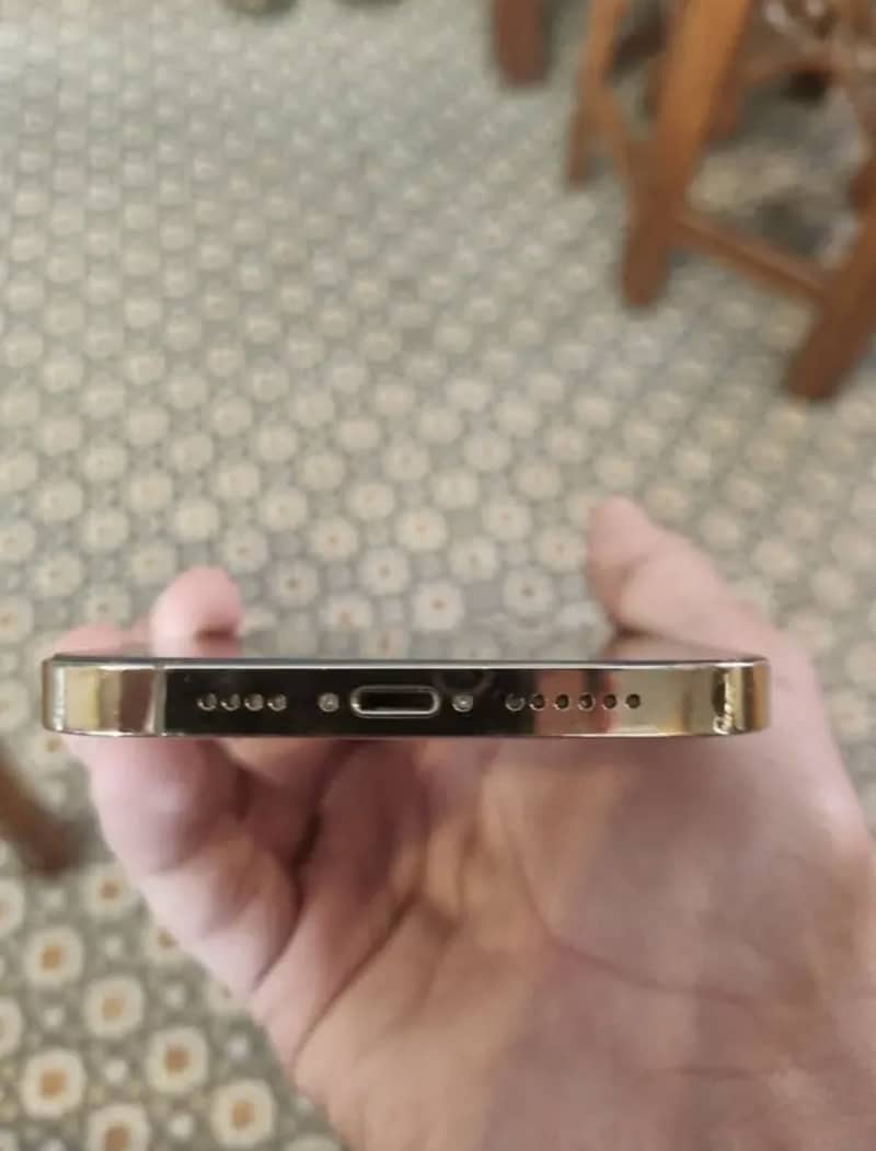 Apple iPhone 12 Pro Max 3