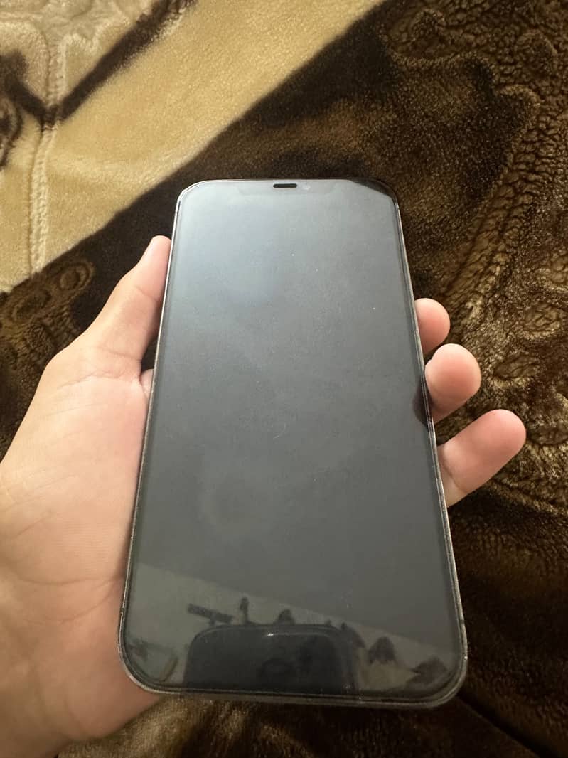 Apple iPhone 12 Pro Max 1