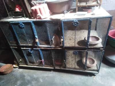 murgiyo k Liye big cage. . Kahi sy damage ni hai. .